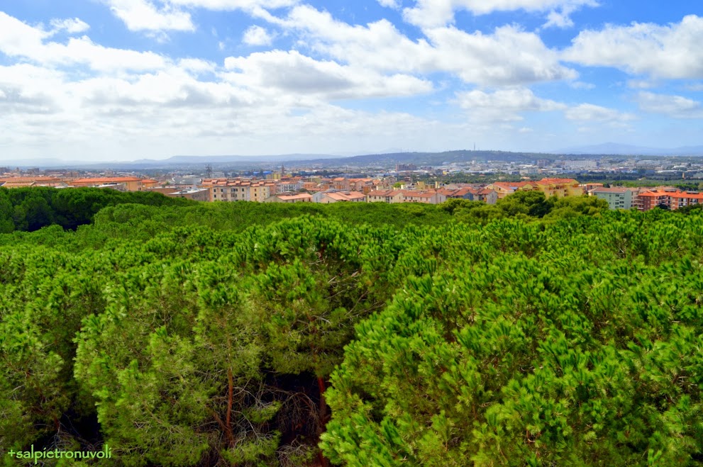 La natura minaccia la città!!!!!!!!