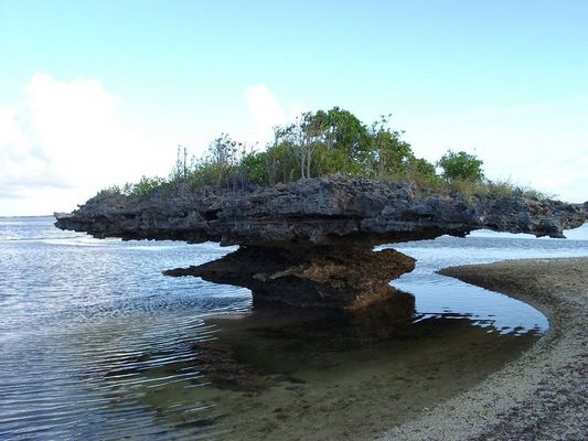la natura si diverte