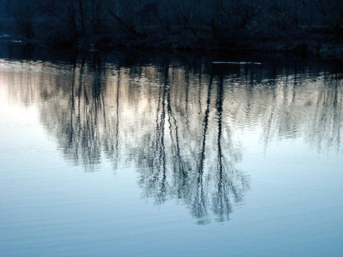 la natura si specchia