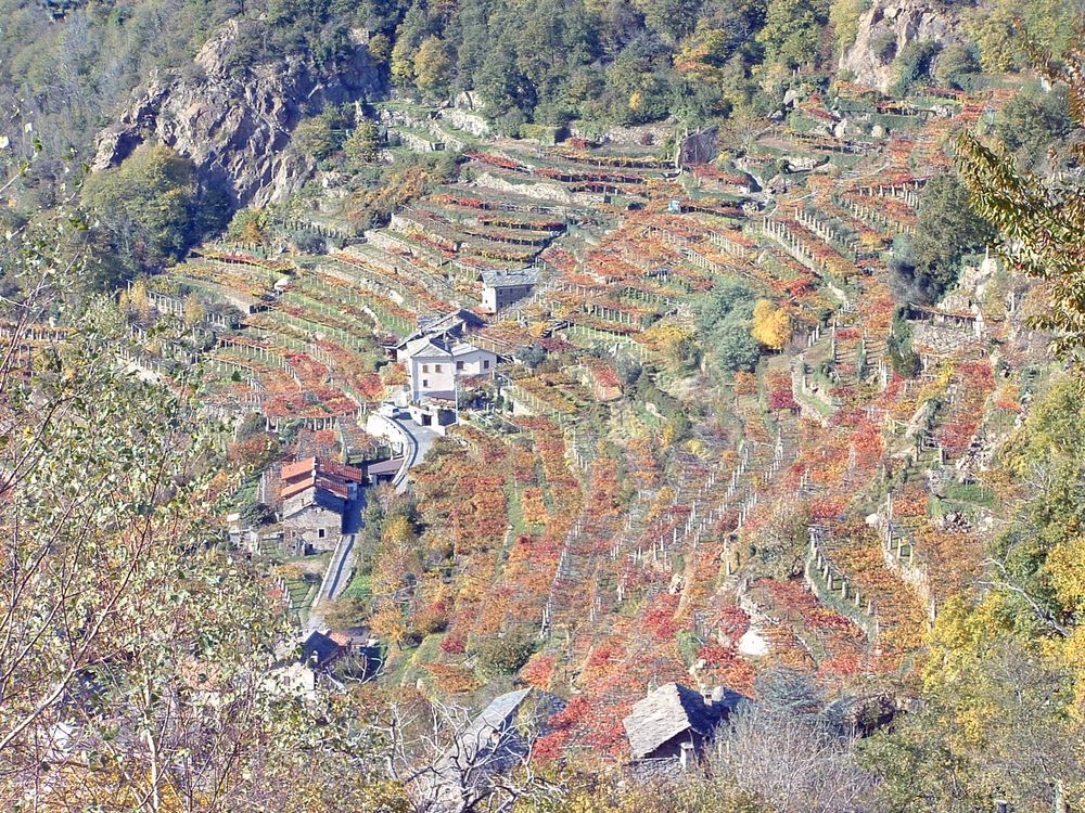 la natura si trasforma