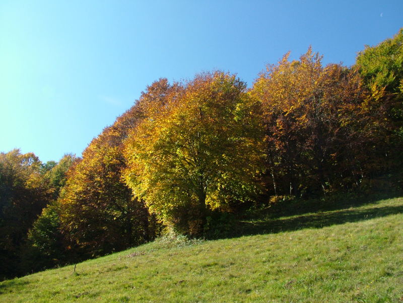 La Natura Trentina