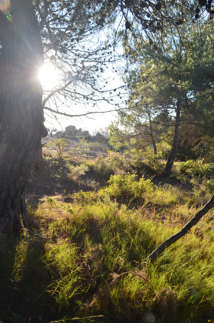 La naturalesaa:)