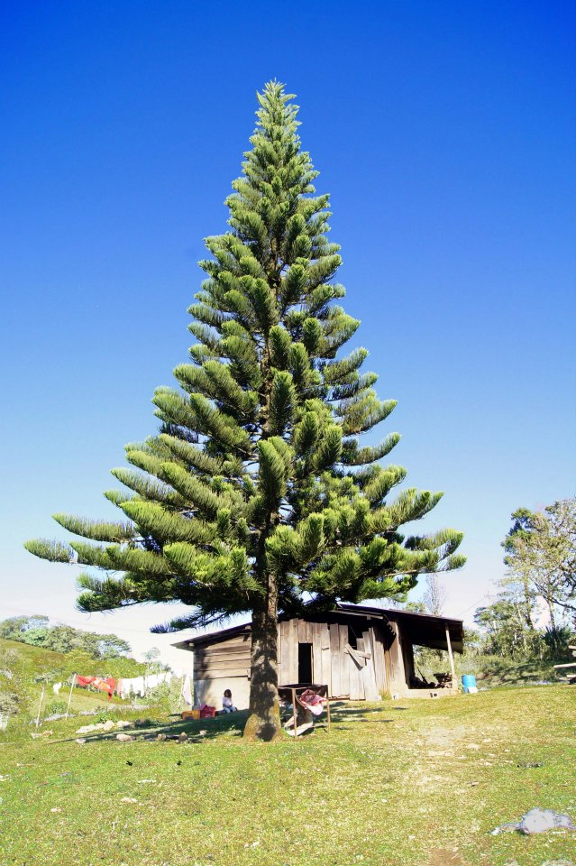 La Naturaleza