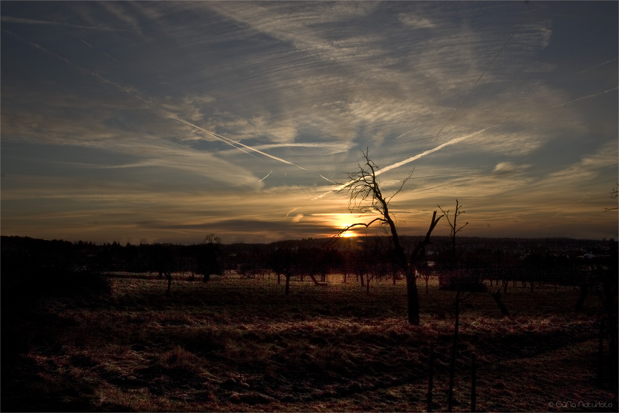 La naturaleza duerme todavía  +  Die Natur schläft noch