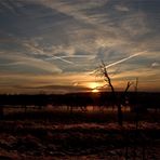 La naturaleza duerme todavía  +  Die Natur schläft noch