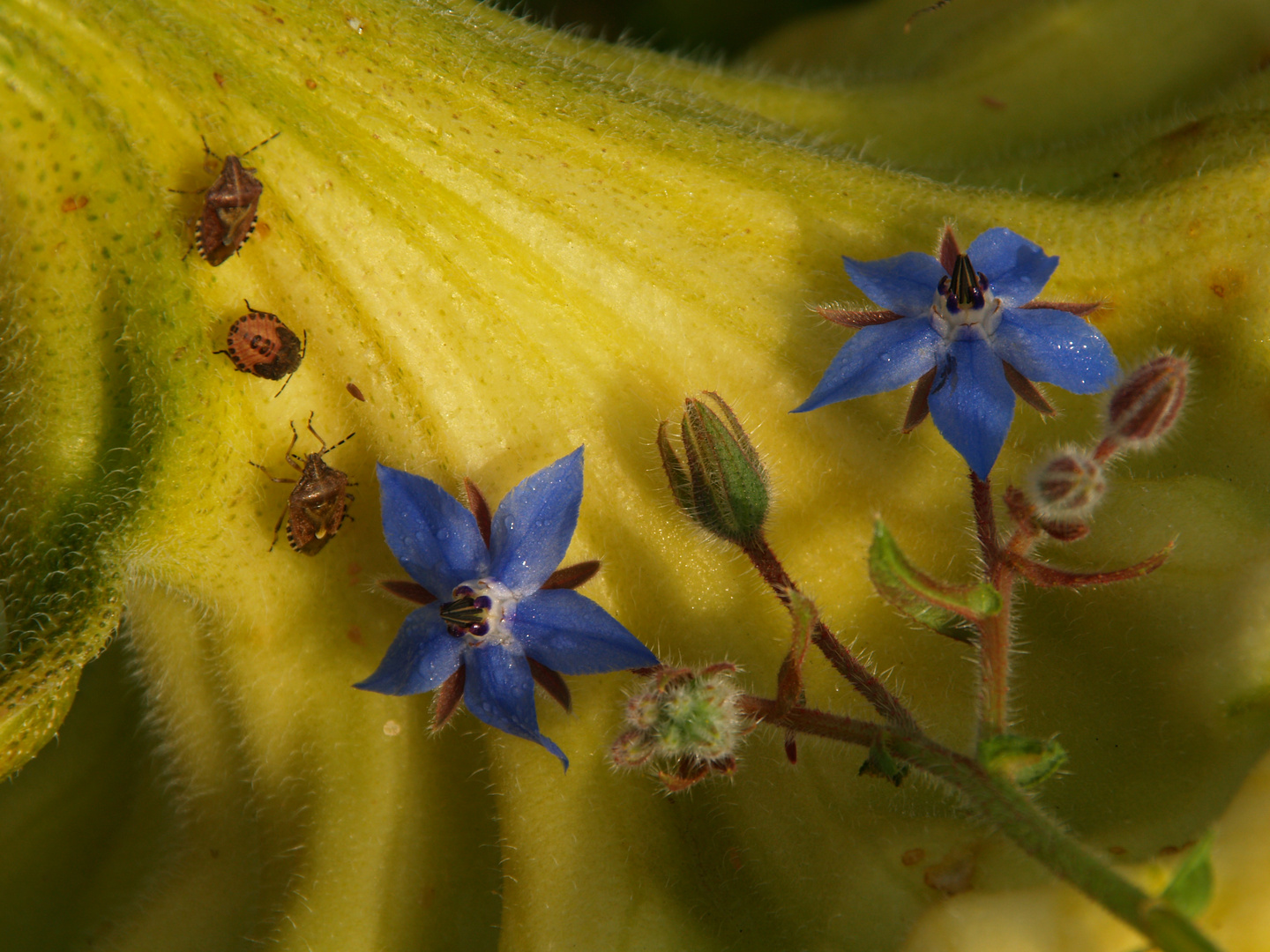 LA NATURALEZA EN VIVO