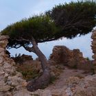 la naturaleza reclamando su tereno