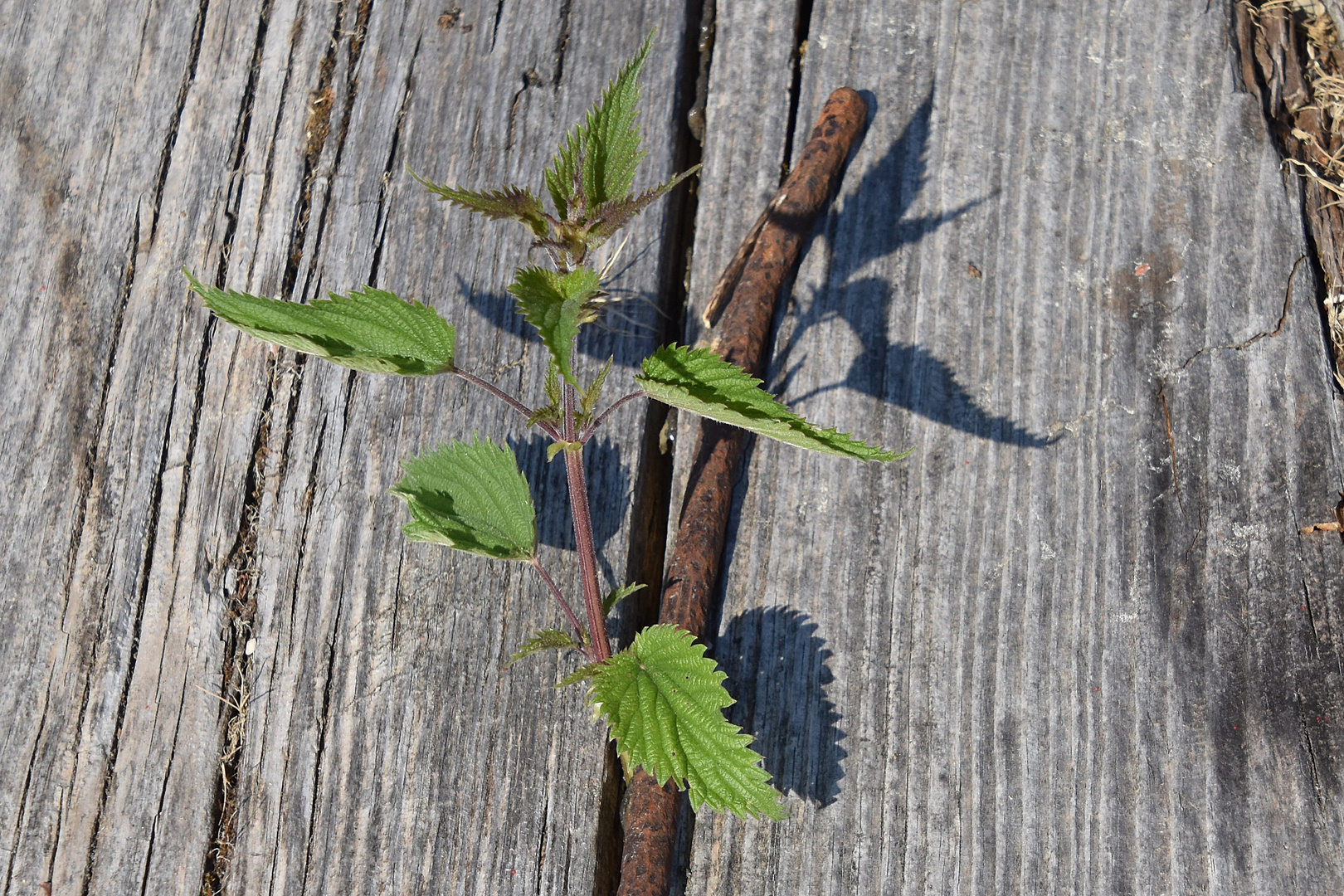 La nature a horreur du vide