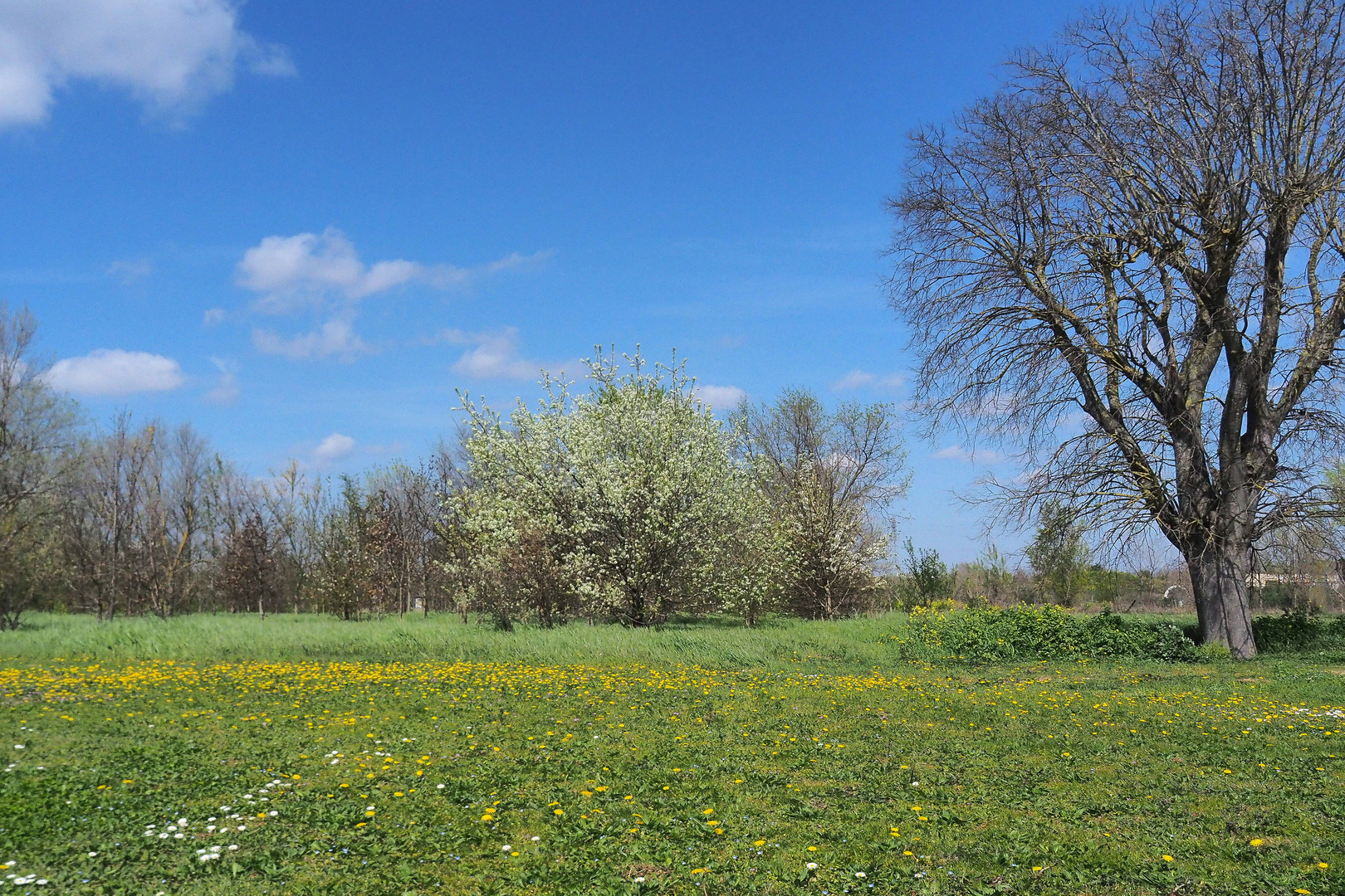 La nature a repris ses droits