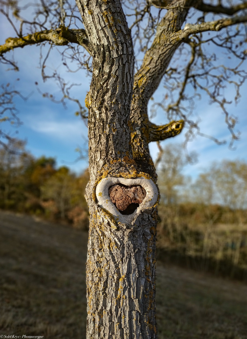 La Nature avec un grand coeur