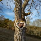 La Nature avec un grand coeur