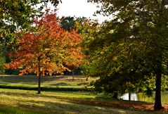 La nature commence à changer de couleur