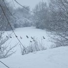 la nature dans toute sa beautée