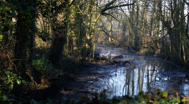 La Nature , Donnez lui une deuxième vie .