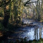 La Nature , Donnez lui une deuxième vie .