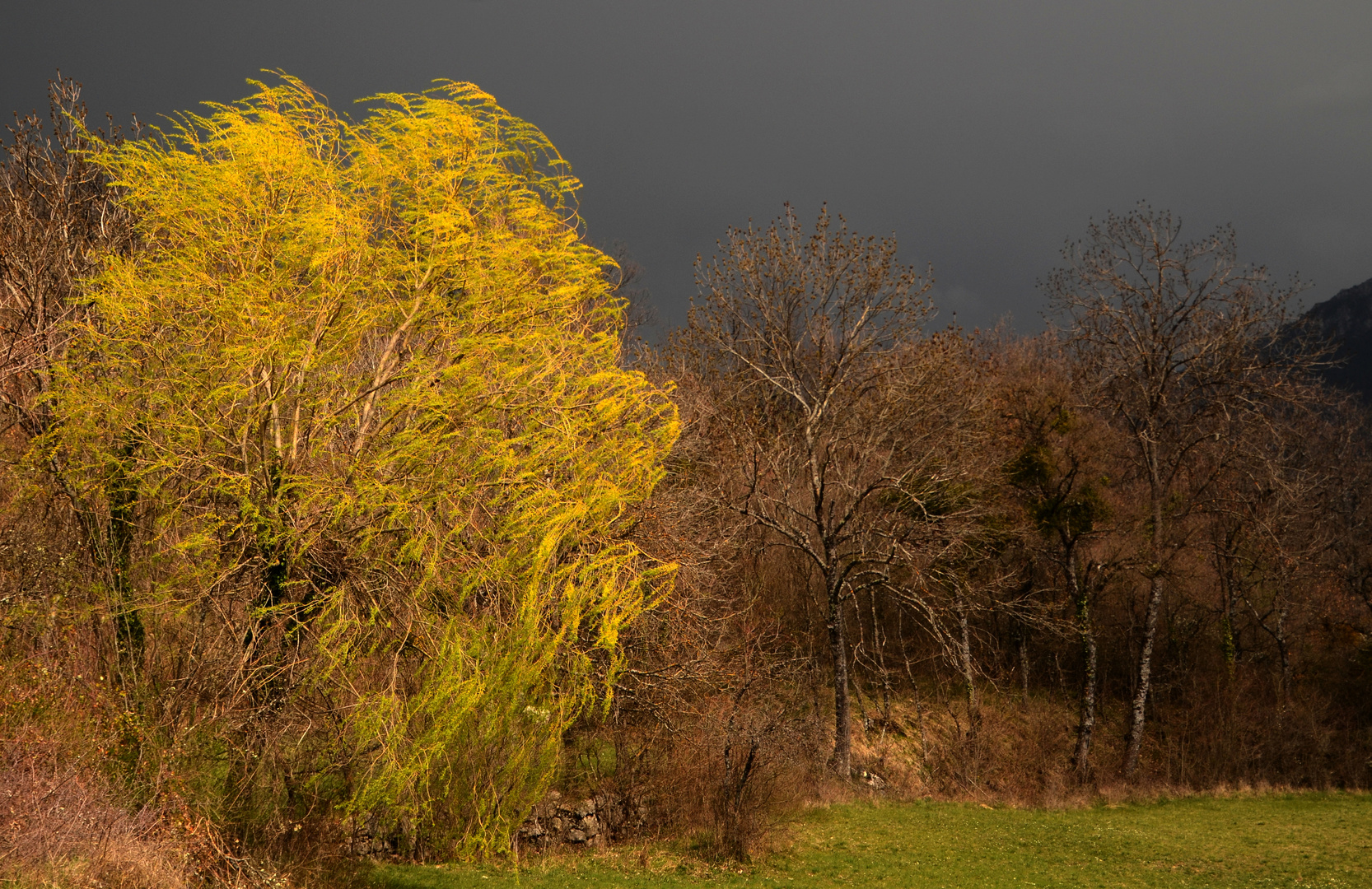 * la nature en colère *