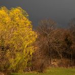 * la nature en colère *