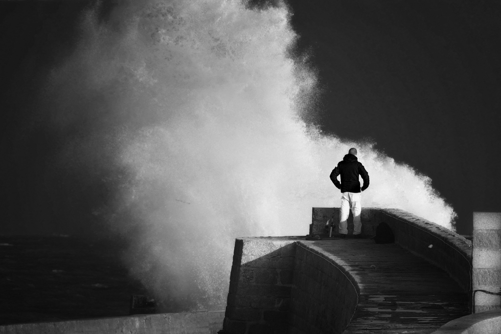 La nature en noir et blanc