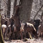 la nature est ainsi