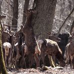 la nature est ainsi " Revue par  Ingrid "