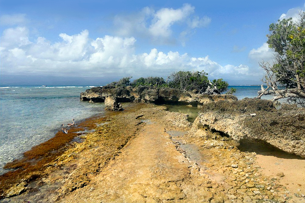 La nature est belle à la Guadeloupe - Atelier Retouche 2015/022