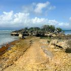 La nature est belle à la Guadeloupe - Atelier Retouche 2015/022