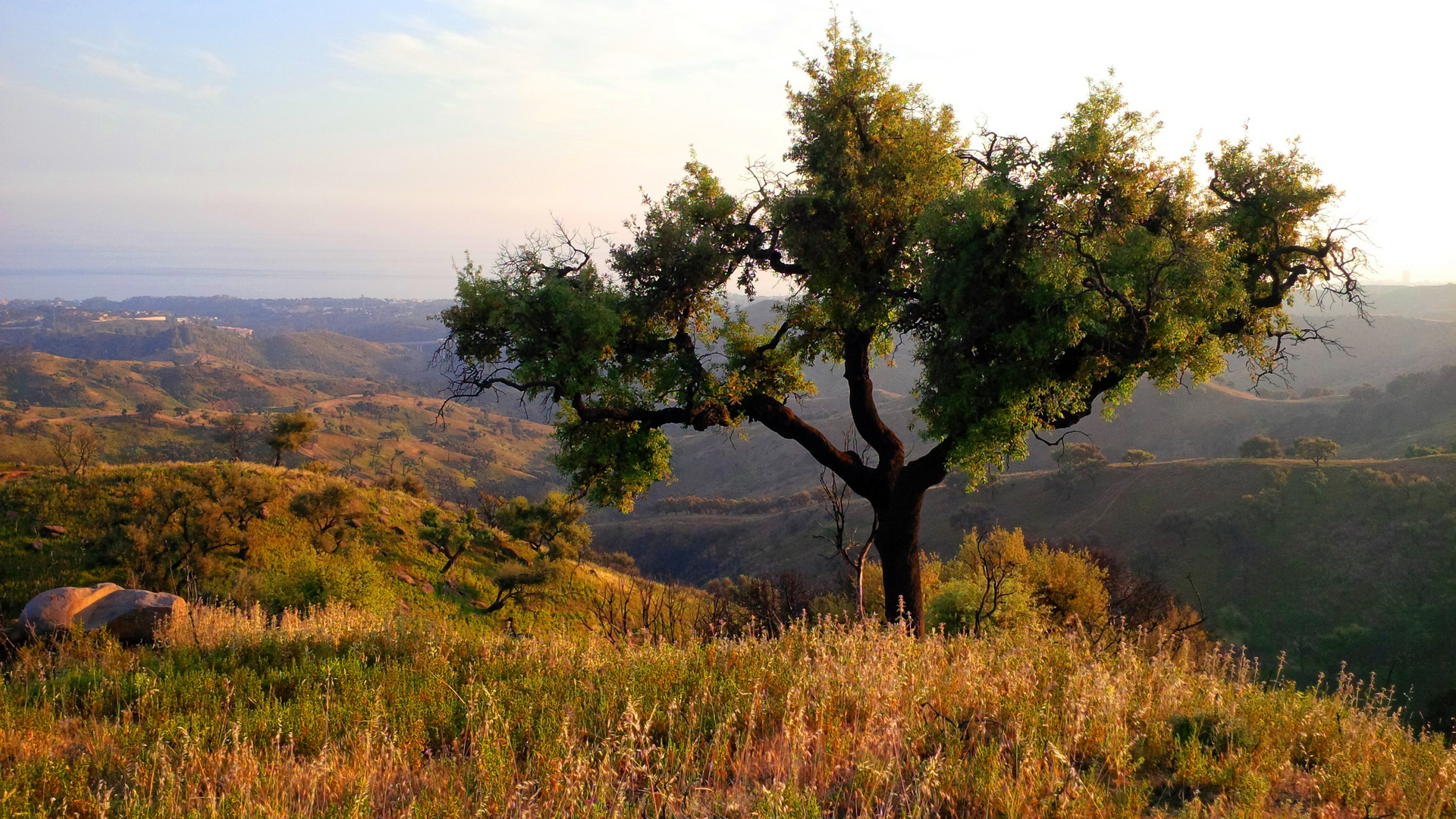 La NATURE est BELLE !!!... DEHESA ANDALUZA - MARBELLA del MAR