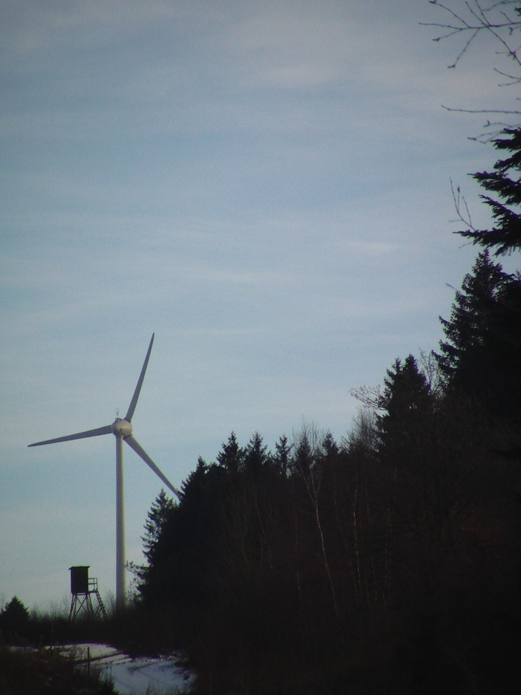 La nature et l ecologie font bon menage