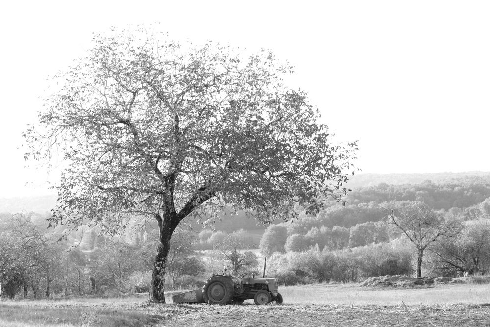 la nature et la mécanique