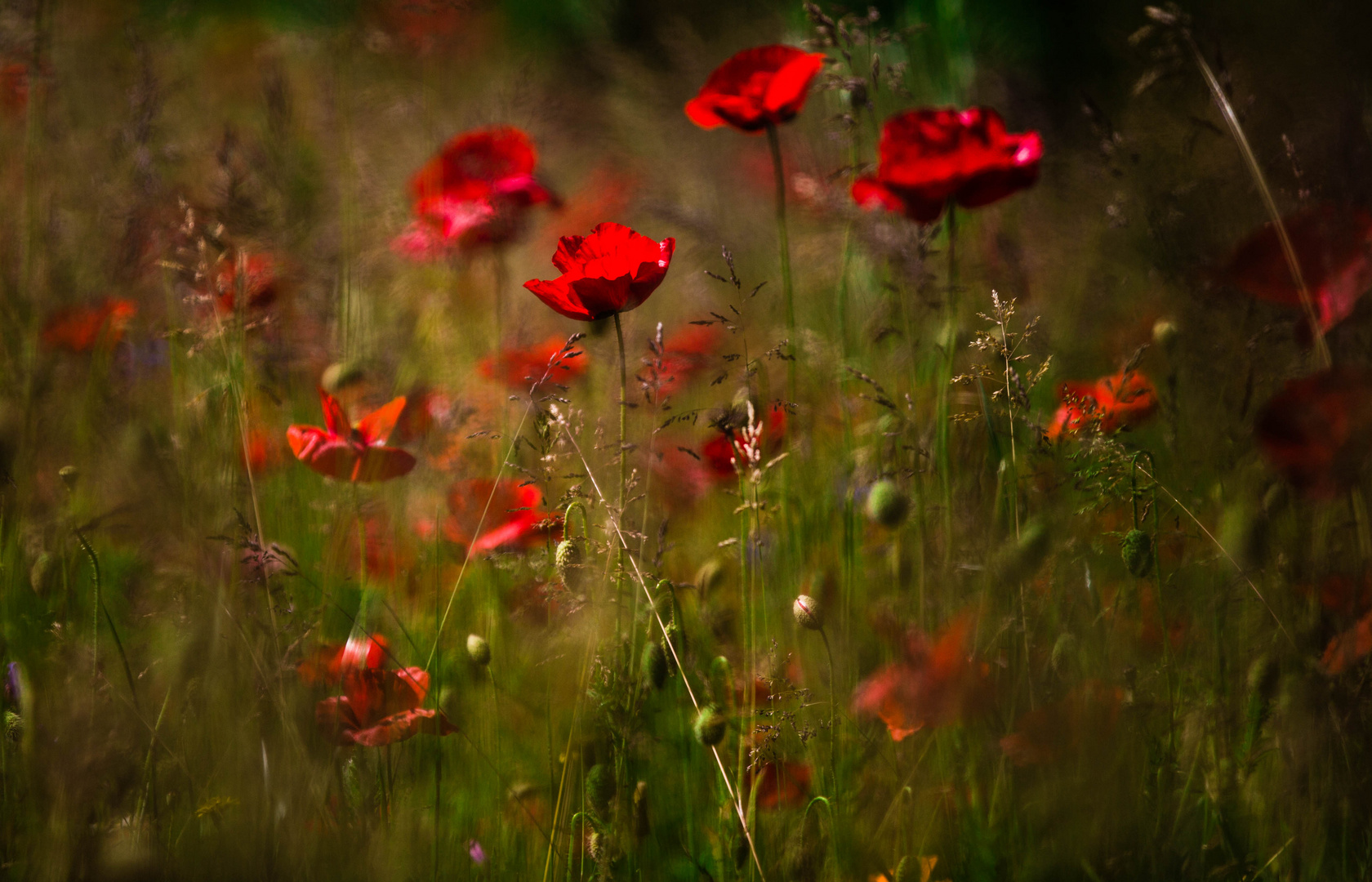 la nature fait son show