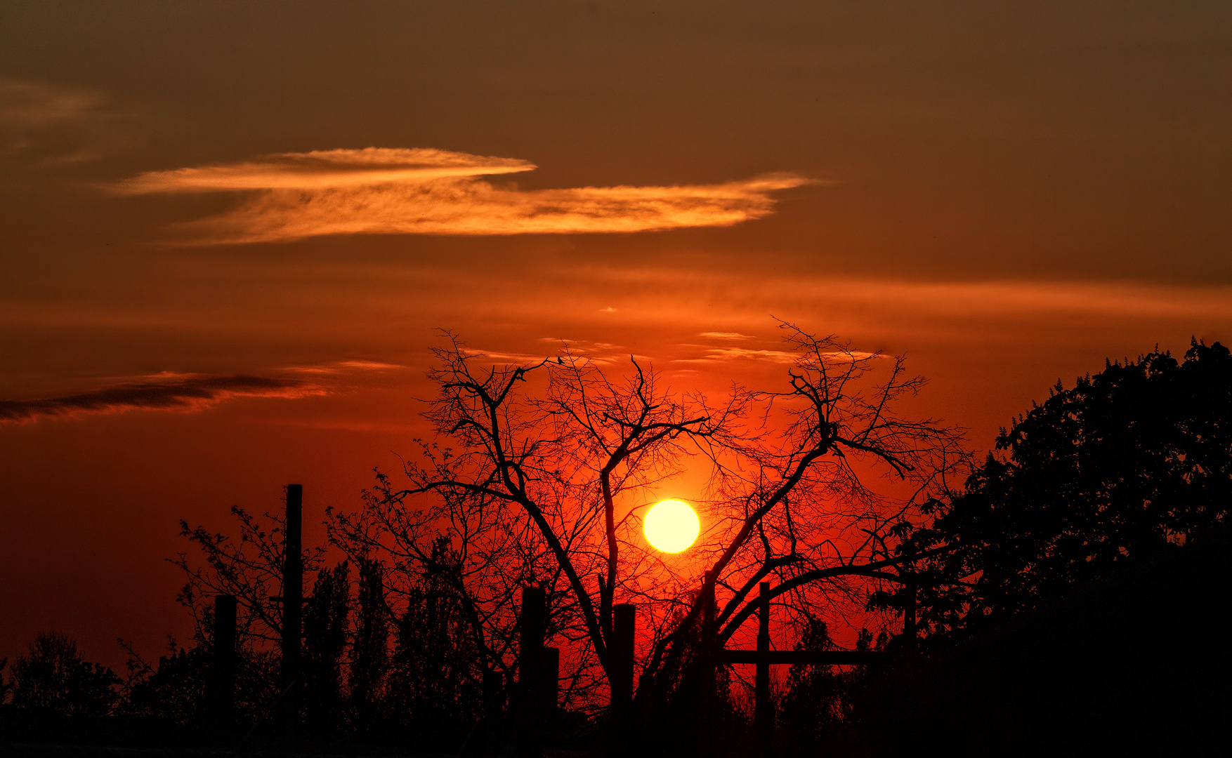 La nature fait son show . 