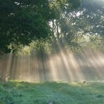 La nature ? j'en connais un rayon