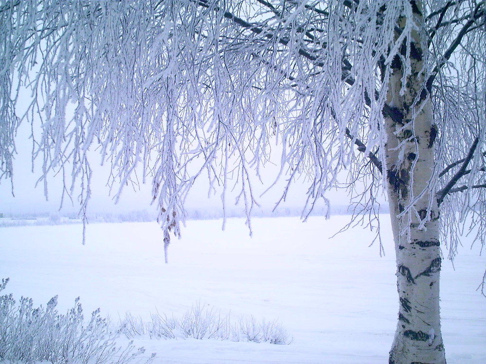 la nature... Naturellement!