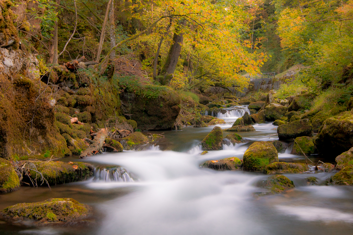 La nature revêt sa robe d'automne,