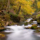 La nature revêt sa robe d'automne,