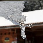 la nature se met au commerce