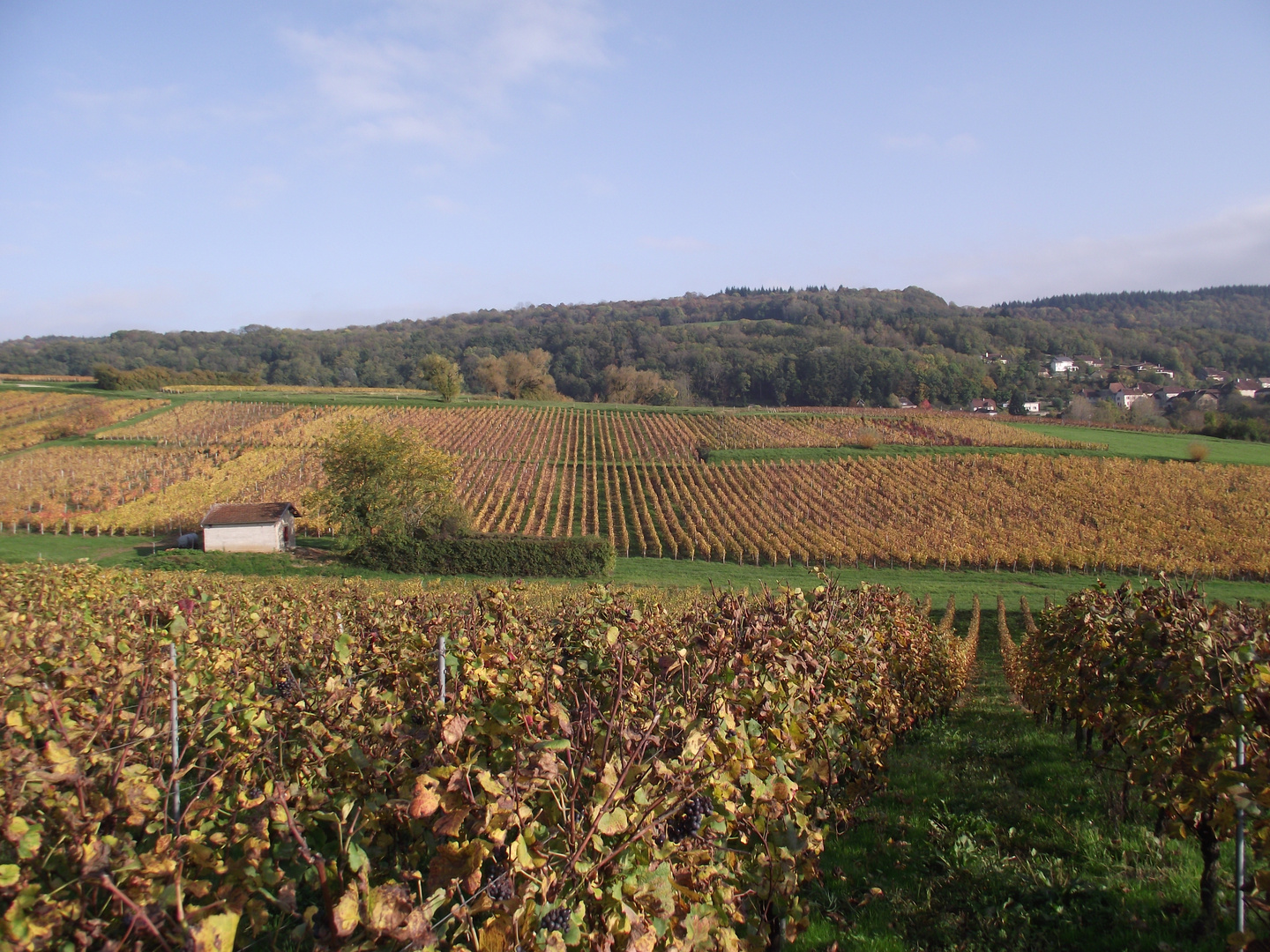 LA NATURE SE PREPARE POUR L HIVER