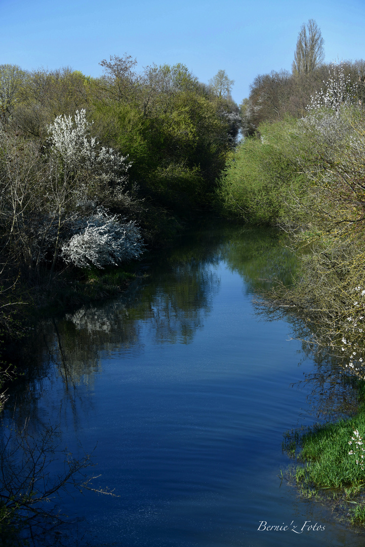 La nature se réveille