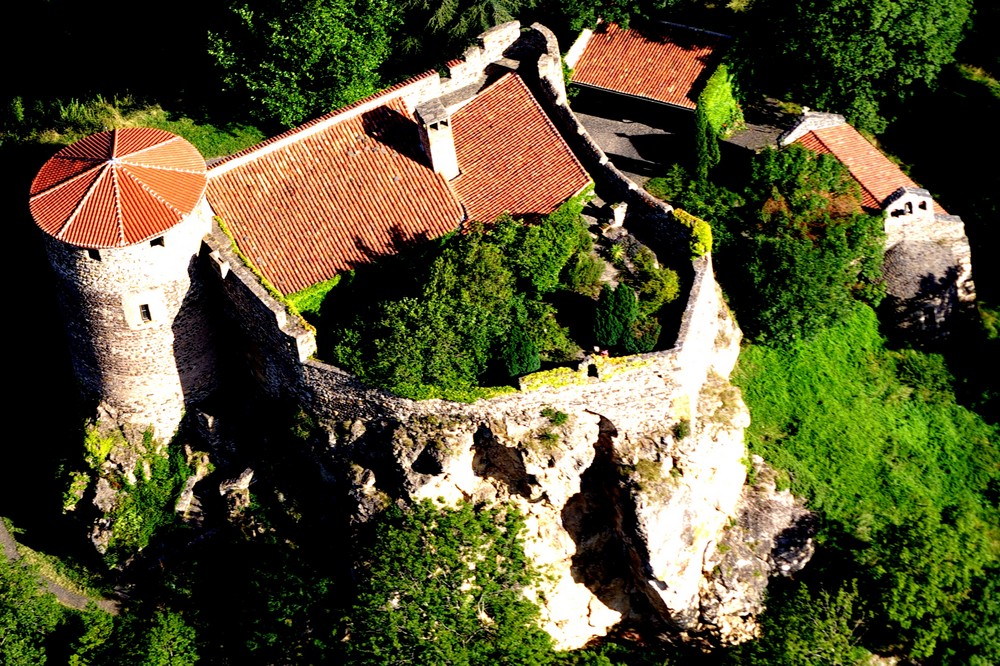 La nature s'empare de la pierre