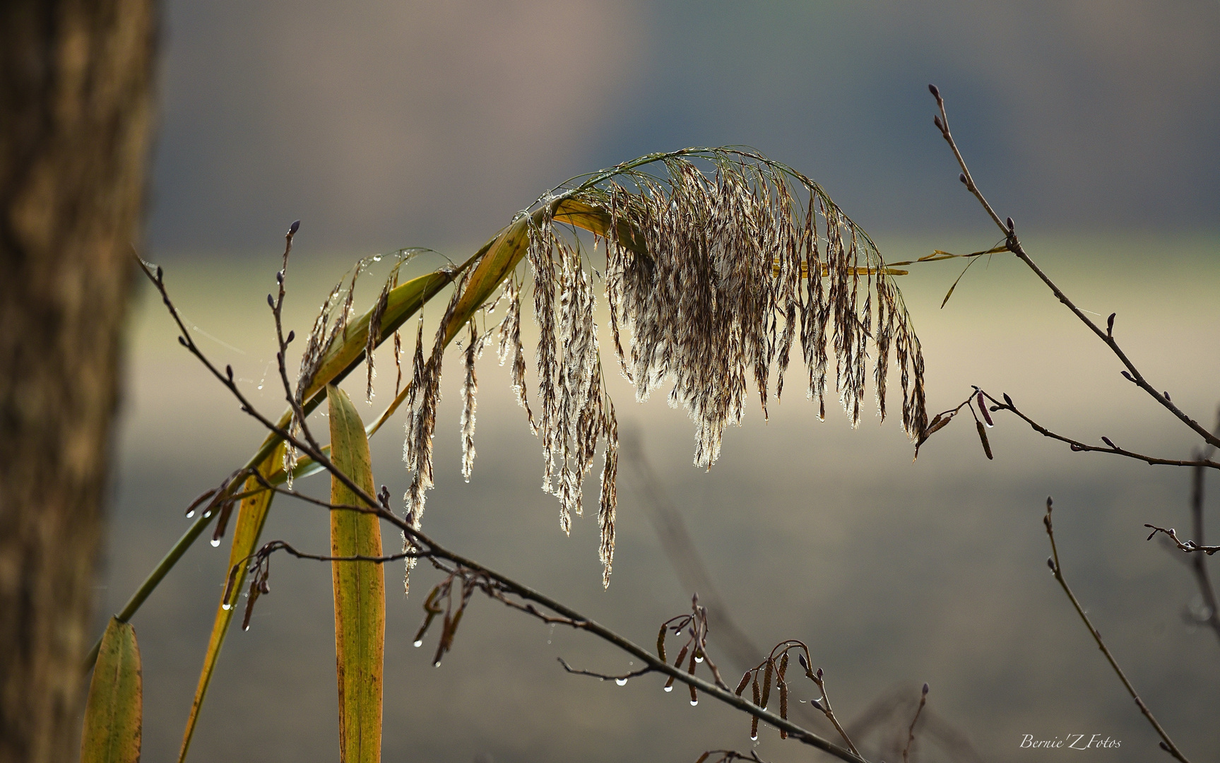 la nature simplement