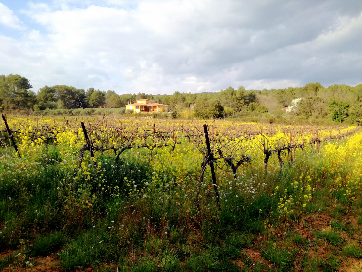 La Nature, tout simplement ! en Provence ...