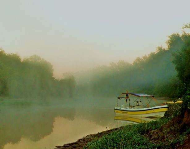 La Nave de los Locos