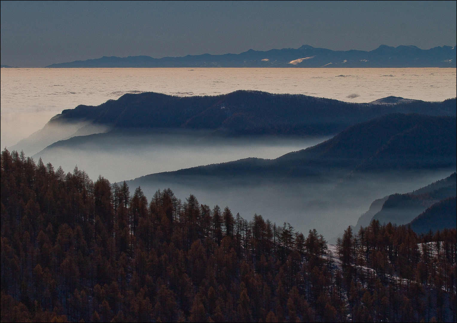 La nebbia