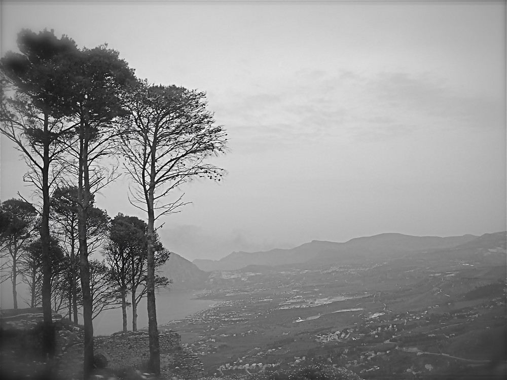 La nebbia di graziella Damiani 