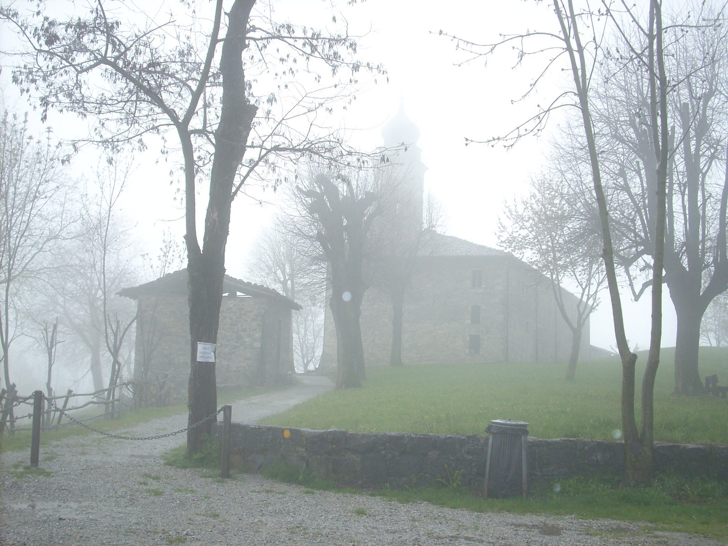 La nebbia