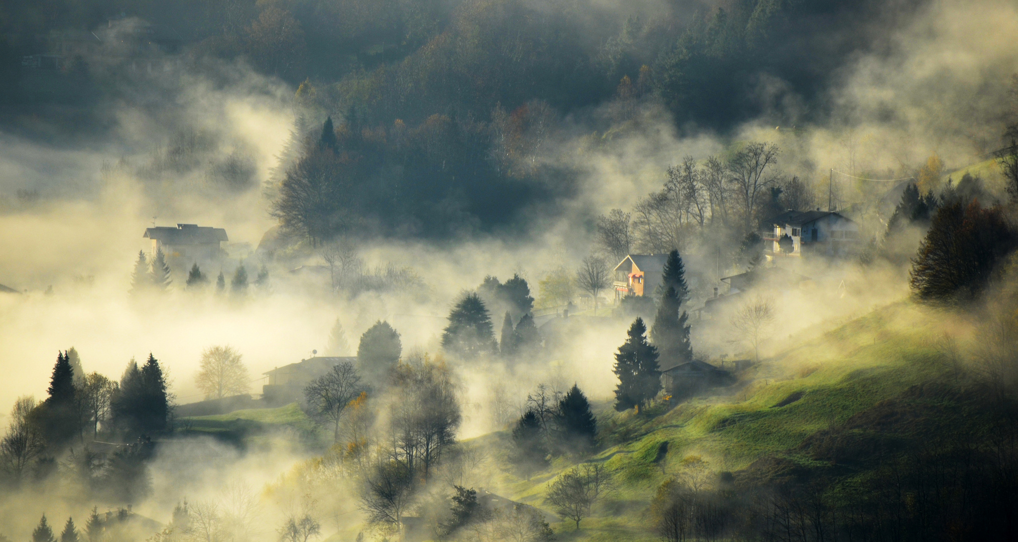 ..la nebbia a glirti colli piovigginando sale....