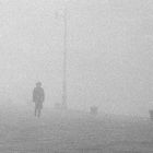 la nebbia a Trieste