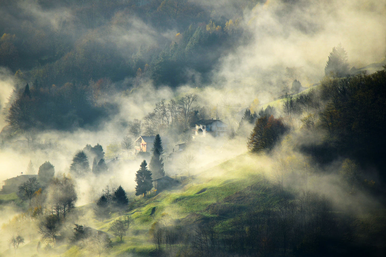 la nebbia agli irti colii Foto