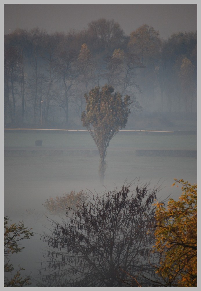 La nebbia agli irti colli....