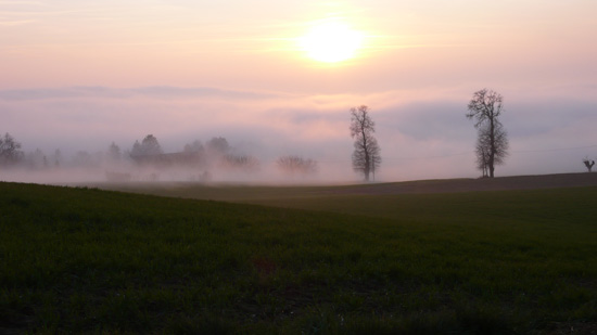 LA NEBBIA AGLI IRTI COLLI.....................